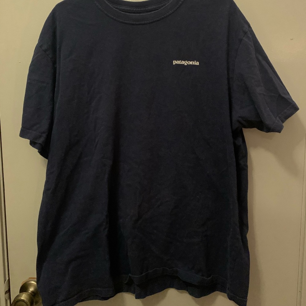Patagonia Tshirt